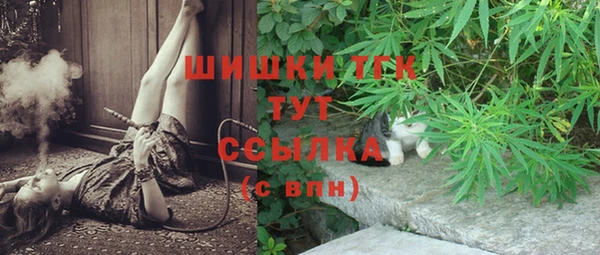 spice Верея