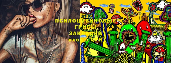 spice Верея
