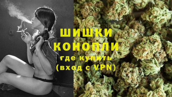 spice Верея