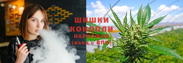 spice Верея