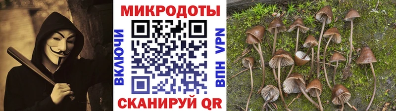 нарко площадка телеграм  Плёс  Галлюциногенные грибы прущие грибы 